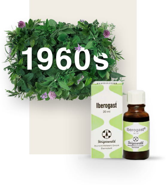 1960 rodeado de hojas y una antigua botella de Iberogast® con su envase a un lado.