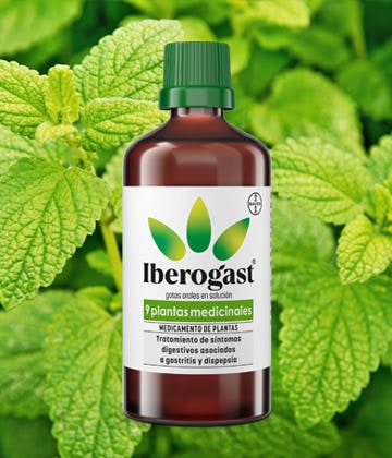 Botella Iberogast® entre hojas.