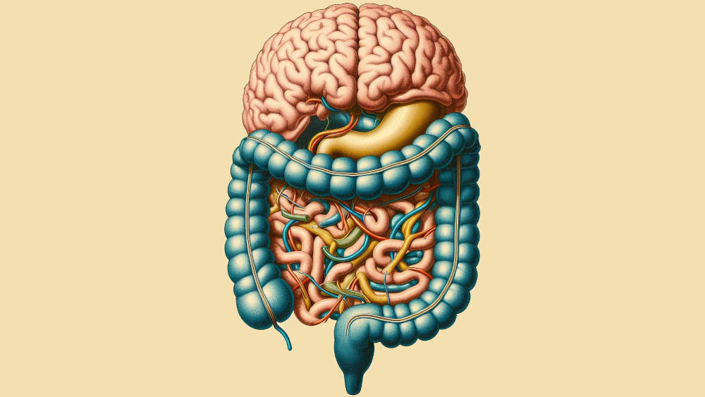 Estrategias comprobadas para el bienestar del eje cerebro-intestino