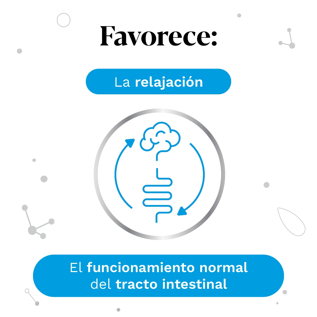 IberoBiotics® Calm para el bienestar digestivo y la relajación