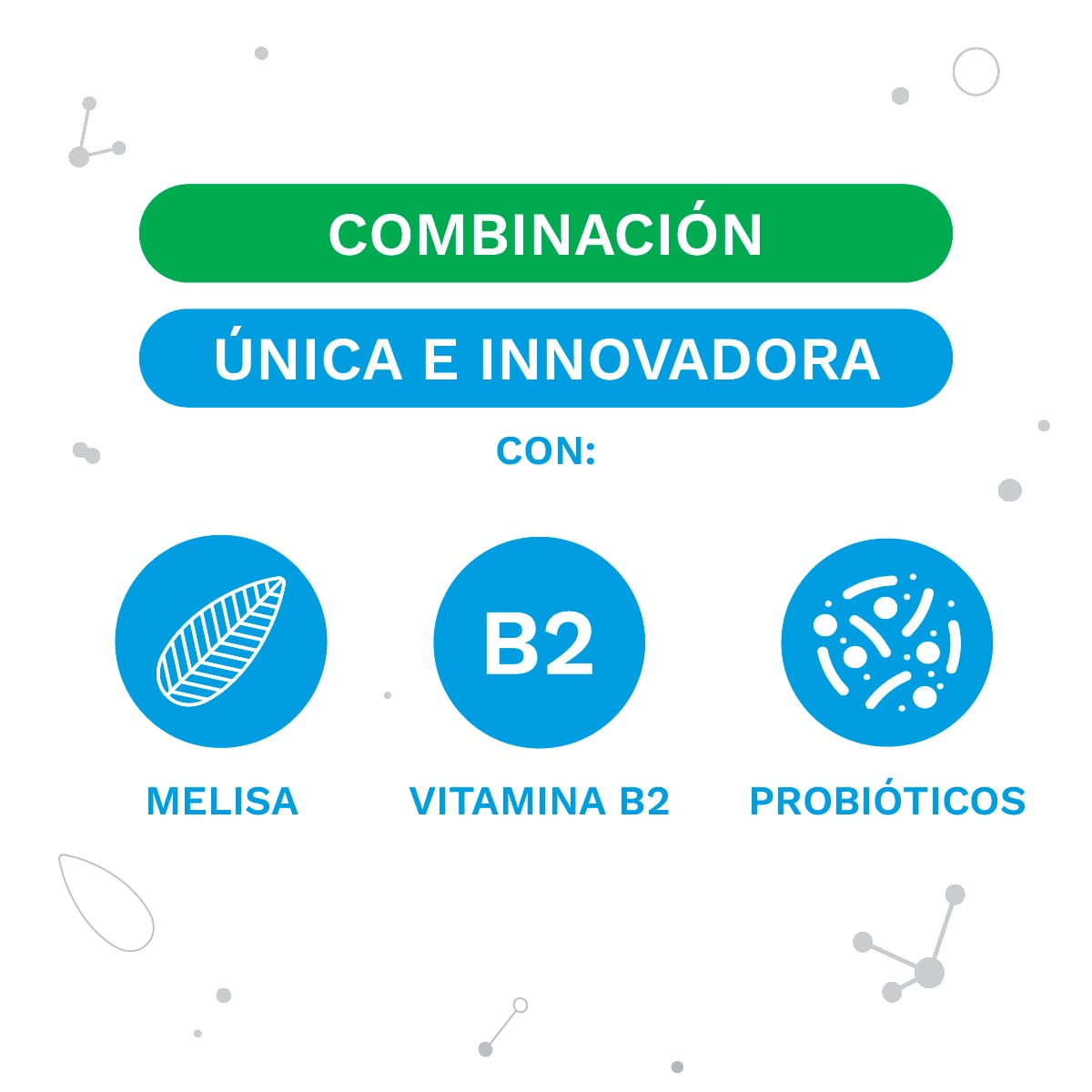 IberoBiotics® Calm para el bienestar digestivo y la relajación