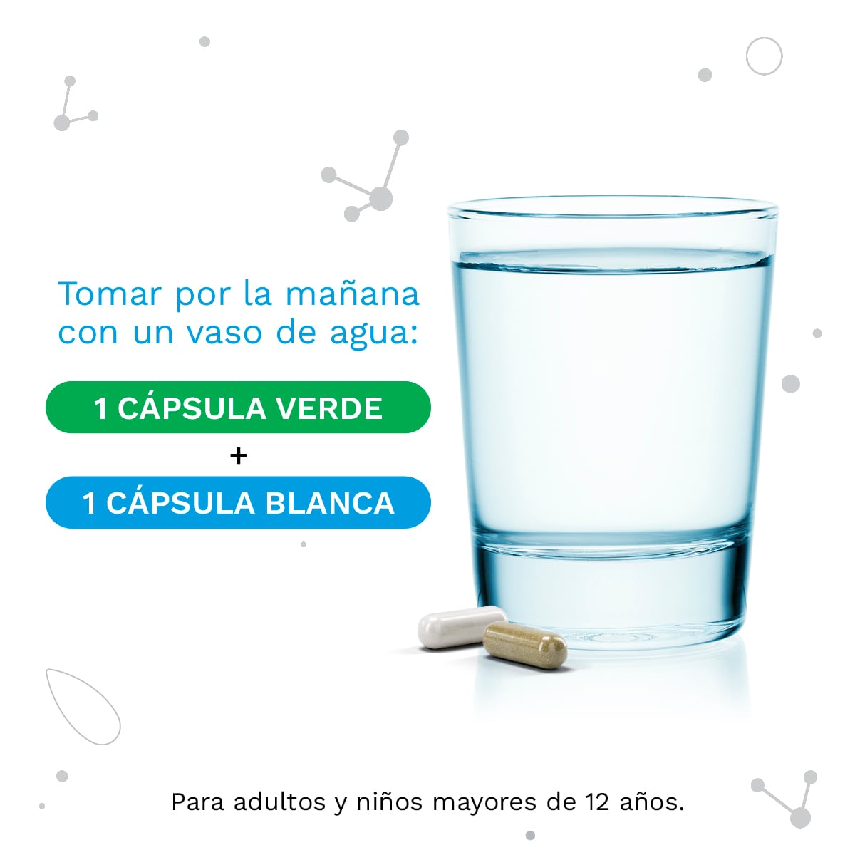 IberoBiotics® Calm para el bienestar digestivo y la relajación