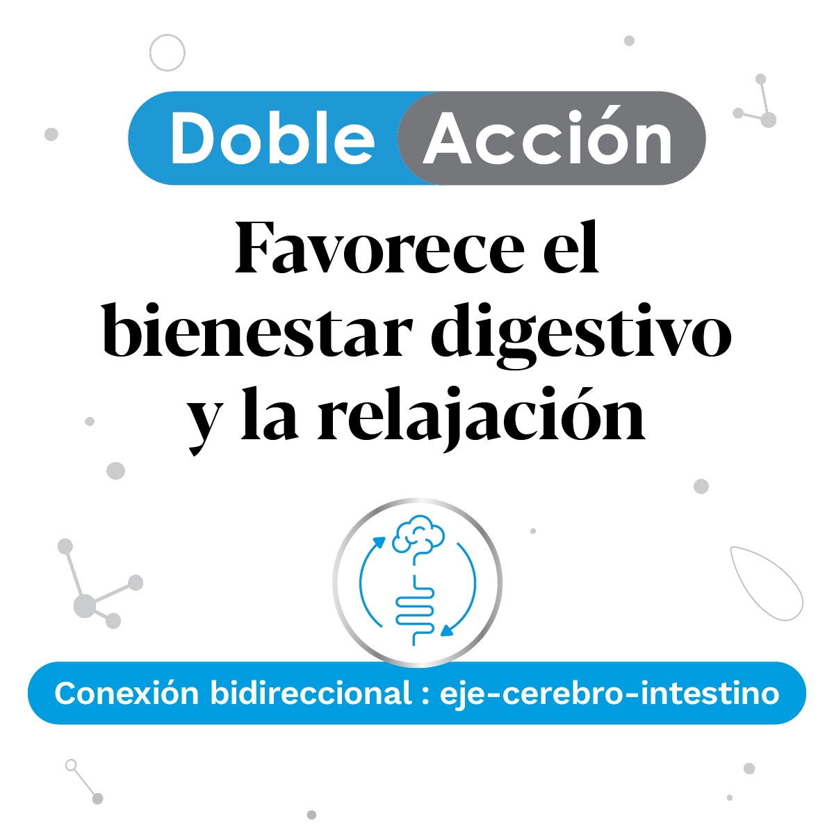IberoBiotics® Calm para el bienestar digestivo y la relajación