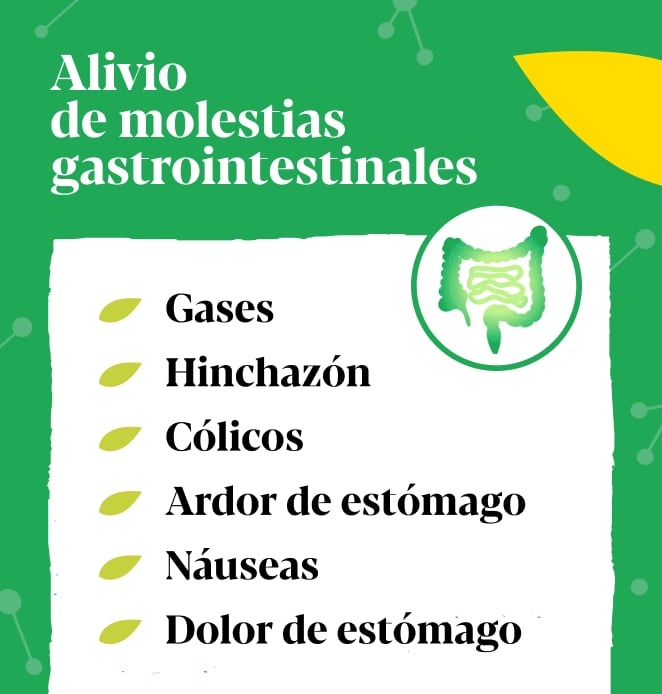 Iberogast® Elemental 3