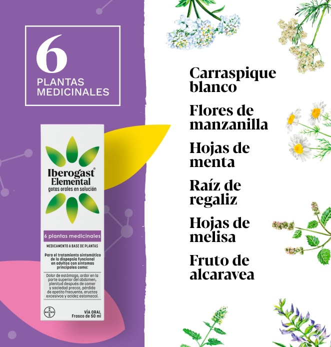 Iberogast® Elemental 4