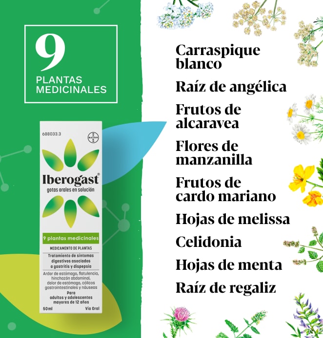 Iberogast® Elemental 4