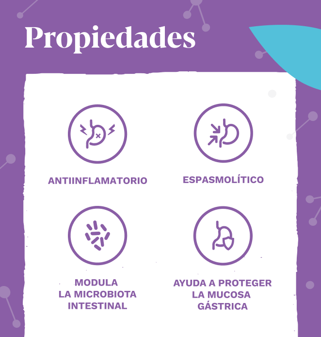 Iberogast® Elemental 2